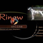Rinow Website